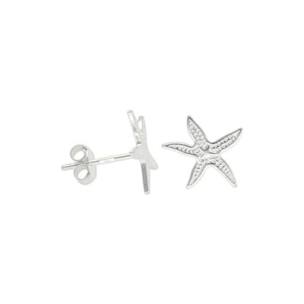 ARO PEGADO ESTRELLA DE MAR
